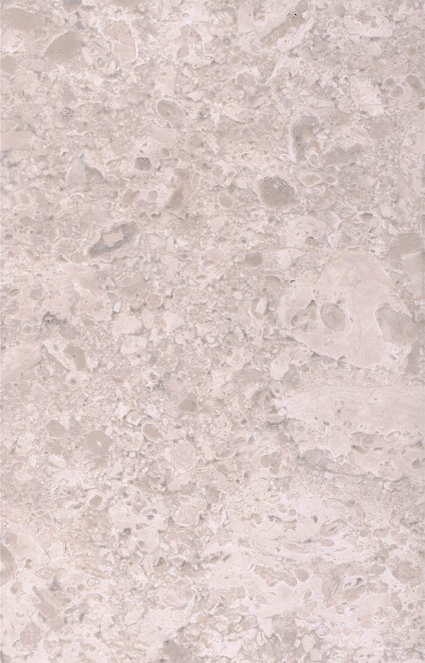 尚泽恩——白玫瑰,新奥特曼,珊瑚海 1 -石材供应 -石猫石材网