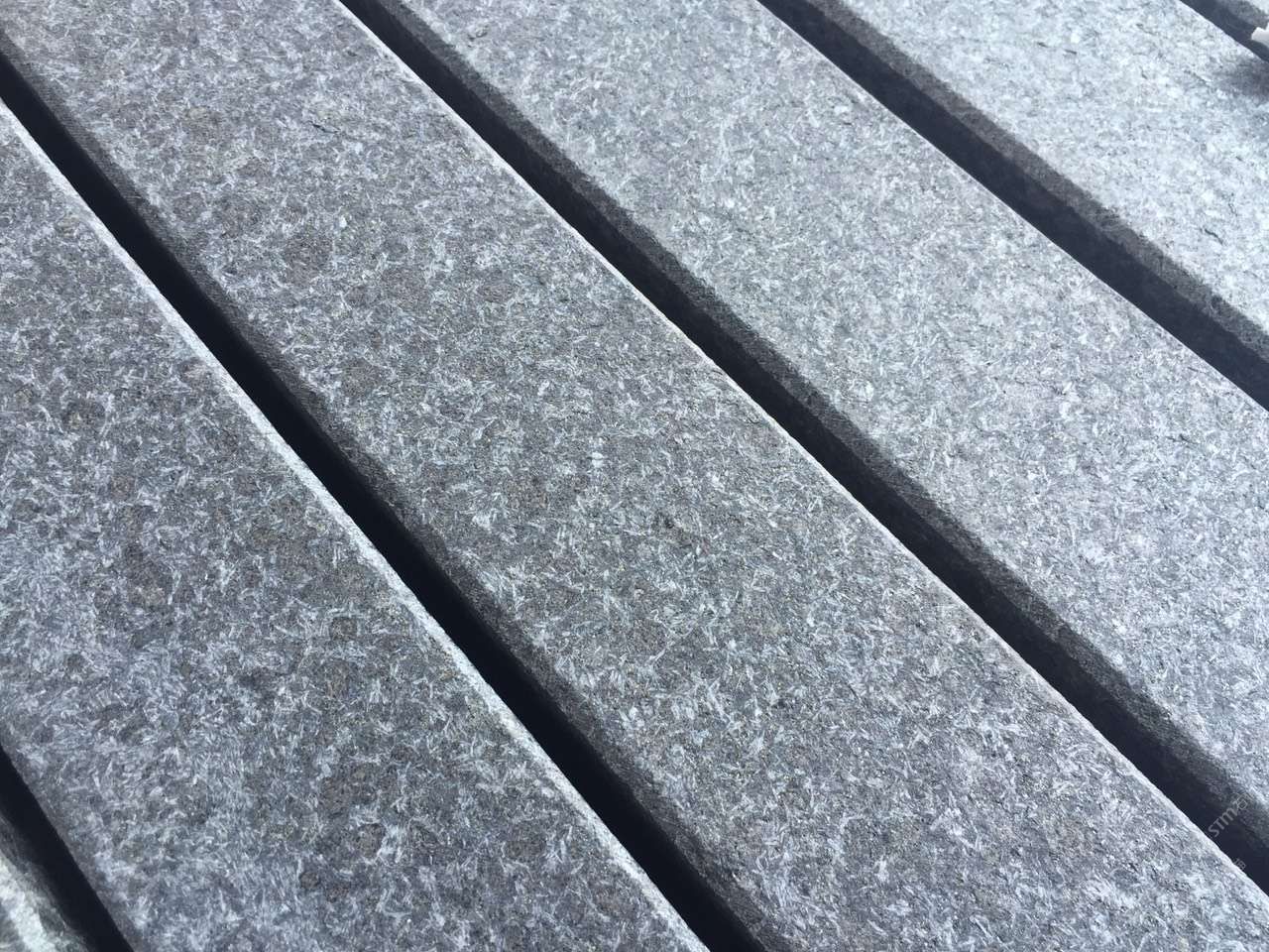 福鼎黑珍珠黑滨州青北大青芝麻黑