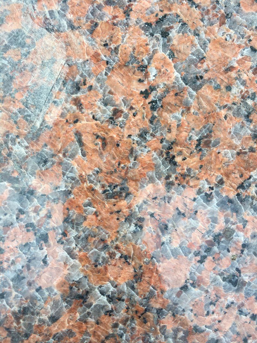 海浪花廉江花芝麻白浪花白芝麻灰枫叶红603湛江黑