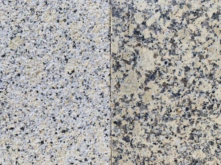 新品种紫点金麻,金钻麻,新卡麦,菊花黄,黄锈石